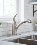 Medina Spot Resist Stainless One Handle Pull Out Kitchen Faucet With Power Clean Sprayer installed over a sink
