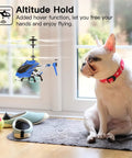 SYMA S107H Mini RC Helicopter With Gyro And Altitude Hold One Key Take Off And Landing Two Point Four GHz Indoor Outdoor Flyer For Adults And Kids Blue hovering by a dog indoors.