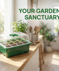 5 Pack Seed Starter Trays With Adjustable Humidity Dome And Base Indoor Greenhouse Mini Propagator, 12 Cells Per Tray on table