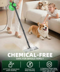 12In1 Steam Mop With Detachable Handheld Cleaner Straight Up Game Changer cleaning pet-friendly floor with steam.