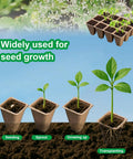 Biodegradable Seed Starter Trays With 60 Cells In 5 Pack For Seedlings at different growth stages from seeding to transplanting