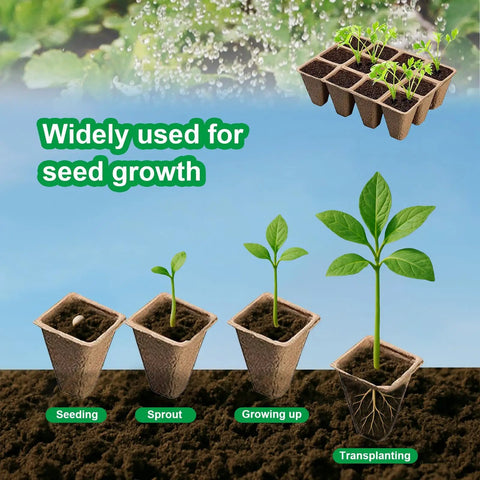 Biodegradable Seed Starter Trays With 60 Cells In 5 Pack For Seedlings at different growth stages from seeding to transplanting