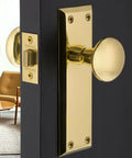 New York Vibe Door Knob With Plate Set Smooth Round Knob And Long Plate For Interior Doors in Unlacquered Brass on dark door