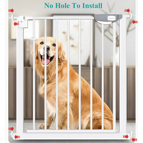 Golden retriever behind Extra Wide Baby Gate For Stairs And Doorways With Auto Close No Drilling Pressure Mounted Metal Safety Gate