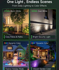 Smart RGBCW 12V Landscape Lighting Kit for trees and pathways with color effects, showcasing cozy and vibrant outdoor scenes.