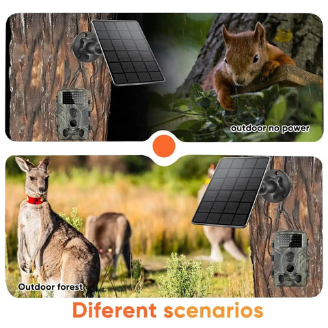 3W Solar Panel Kit With Built In 5000mAh Battery For Trail Cameras in outdoor scenarios with wildlife and rotating mount