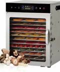 Big Capacity Food Dehydrator And Freeze Dryer Machine Featuring Stainless Steel Trays For Hassle Free Fruit Vegetable Herb And Meat Jerky Drying At Home Today with various vegetables.