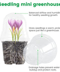 Clear Nursery Pots Set 36 Pack With Humidity Domes showcasing soil, roots, and seedlings with text annotations.