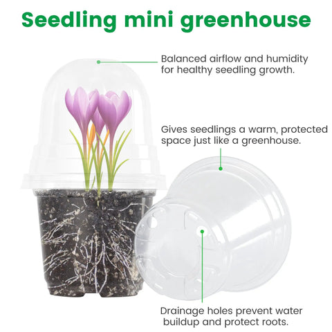 Clear Nursery Pots Set 36 Pack With Humidity Domes showcasing soil, roots, and seedlings with text annotations.