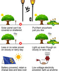 Comparison of solar and low voltage torch landscape lights with timer transformer and connectors, 12V pathway lights, IP65 waterproof.