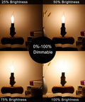 Effortless Dimmable E12 LED Bulb 6W 60W Equiv 2700K Warm Glow brightness settings grid
