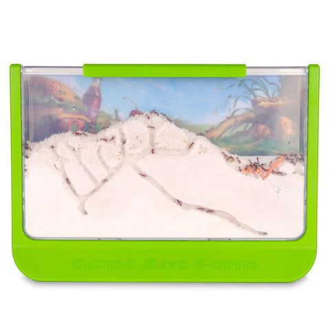 Large Viewing Ant Farm for Live Ants, Hands On STEM Toy with clear walls and green base, showcasing tunnels and ants in motion.