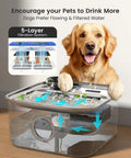 Golden retriever beside Large Dog Water Fountain 10L Stainless Steel Automatic Water Dispenser With Deeper And Wider Drinking Area