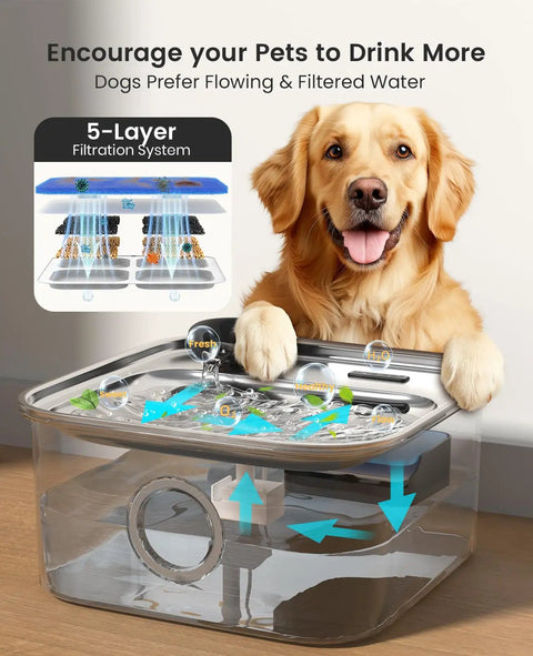 Golden retriever beside Large Dog Water Fountain 10L Stainless Steel Automatic Water Dispenser With Deeper And Wider Drinking Area