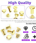 Top Shelf Pro Grade Gold Leather Rivets And Chicago Binding Screws Assortment Kit With Smooth Install Tools For No Sweat Diy Repair and Bookbinding Crafts Total 110 Sets Six M5 Sizes showing gold carbon steel Chicago screws with fine finish.