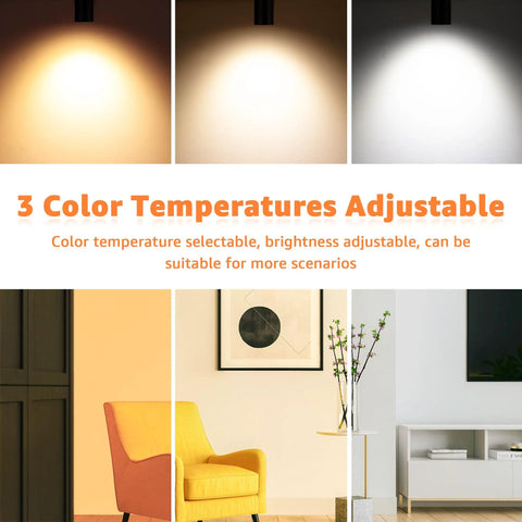 2 Pack Dimmable LED Uplights For Indoor Use With 10 Ft Cord Adjustable 3000K 4000K 5000K Color Temperature Great For Plants Artwork and Photos Energy Saving Mood Lighting For Home Or Studio