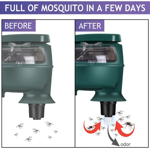 Comparison of bug zapper before and after using Six Pack Mosquito Attractant Bait Refills For Bug Zappers And Fly Traps Mosquito Lure
