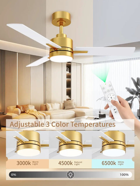 42 Inch Gold Ceiling Fan With Lights And Remote shown in living room with adjustable color temperature settings display