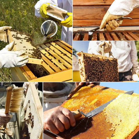 Beekeepers using 9 Piece Beekeeping Tools Kit With Organizer Tote For Beekeepers Starter Set Includes Bee Smoker and Beehive Tools