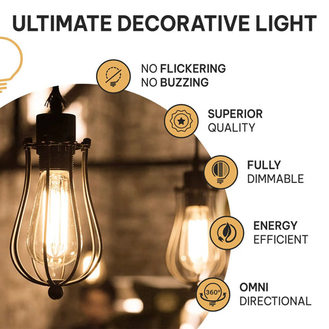 Vintage Edison Light Bulbs 60W E26 E27 Base 2100K Dimmable ST58 Style Warm Glow Squirrel Filament 6 Pack shown in cage pendant