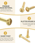 Brass Slotted Round Head Self Tapping Wood Screws M3.5 X 14mm for woodworking, side view showing brass material and slotted head