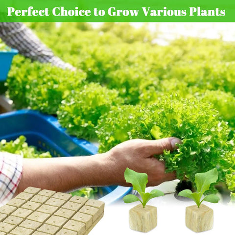 1 Inch Rockwool Seed Starter Cubes For Hydroponics 100 Planting Plugs In 2 Sheets For Germination Cuttings Cloning Propagation Aeroponics And Soilless Garden Growth In Indoor Or Tower Garden Setups