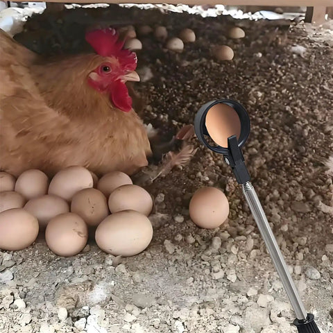 Egg Grabber Reacher Tool For Easy Egg Collecting From The Chicken Coop, Telescoping Extender Reacher Grabber For Clean Hands And Quick Pickup, Farm And Poultry Nest Accessory, Perfect Homesteading Essential