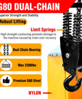 Electric chain hoist front view; dual-chain lifting with hook, 2200 lb capacity.