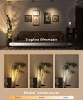 Indoor Spotlight Kit With Daily Auto Timer, 5500mAh Rechargeable Picture Lights, wireless dimmable LED uplighting for plants and wall art