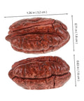 Realistic Walnut Miniature Pecans Set Ten Pieces For DIY Decor And Fake Food Props Totally Cute Mini House Accessories Nut Models