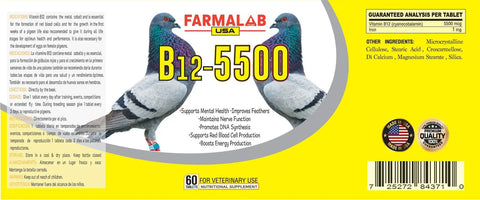 Vitamin B12 5500 Mcg With Iron Pigeon Supplement packaging with two illustrated pigeons and product details
