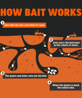 Infographic showing how Fire Ant Killer Bait Granules 2 Lbs Easy Fast Acting Fire Ant Control For Mounds And Yards works to eliminate ants.