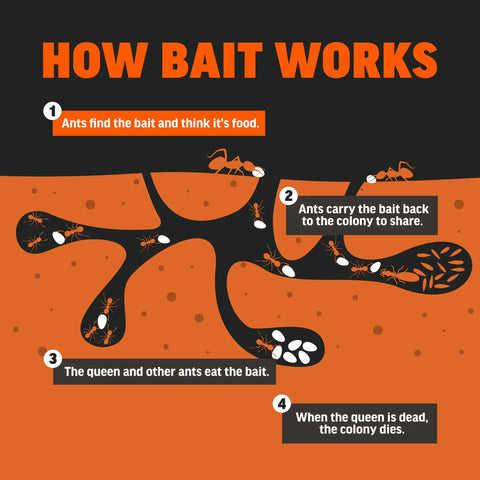 Infographic showing how Fire Ant Killer Bait Granules 2 Lbs Easy Fast Acting Fire Ant Control For Mounds And Yards works to eliminate ants.