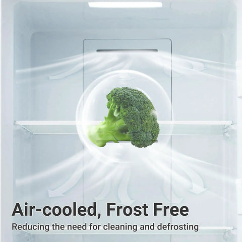 Inside view of Huge 21 Cube Upright Freezer No Sweat Frost Free Top Tier Stainless Housing with air-cooled broccoli.