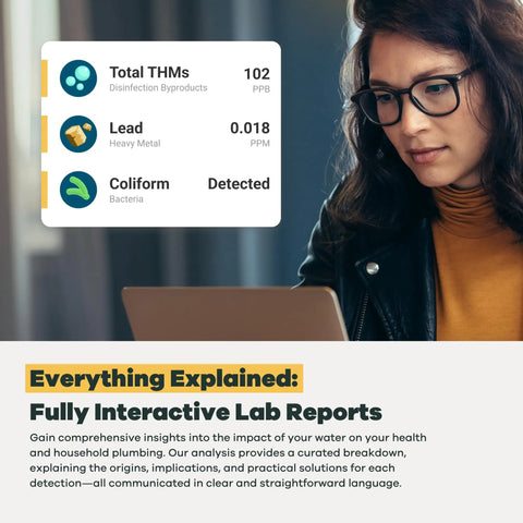 Woman analyzing water test results on laptop with details about total THMs, lead, and coliform in Straight Up Home Water Test Kit.