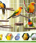Top Notch Nine Piece Apple Wood Bird Perch Bundle With Heavy Duty Rope Ladder And Raw Bark Platform For Parrot Cage Must Haves natural setup with colorful parrots on natural wood perches.