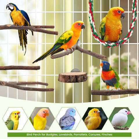 Top Notch Nine Piece Apple Wood Bird Perch Bundle With Heavy Duty Rope Ladder And Raw Bark Platform For Parrot Cage Must Haves natural setup with colorful parrots on natural wood perches.