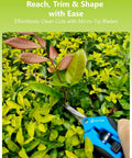 Hand using Two Pack 6.5 Inch Garden Scissors Pruning Shears For Small Plants on leafy stem, showing razor sharp blades and ergonomic comfort.