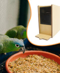 Millet Husk Separator and Grain Splitter Machine for backyard farms with birds near feed tray, high efficiency airflow.