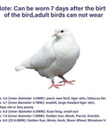 White bird wearing Dope Multicolor Aluminum Bird Leg Rings Pack For Training And Identification, Lightweight Yet Durable Bird Bands.