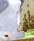 Beekeeping Starter Kit With J Hook Hive Tool, Beehive Brush, Frame Lifter And Scraper in use lifting a bee frame