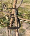 3.1 Inch Fruit Tree Limb Spreader Set, 20 Pieces Branch Puller Tools With Plastic Hose Wrapped Iron Wire on tree branch