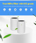 Replacement Filters For 411 Series Air Purifiers 2 Pack With Two Particle Filters And Two Activated Carbon Filters, H13 Filtration