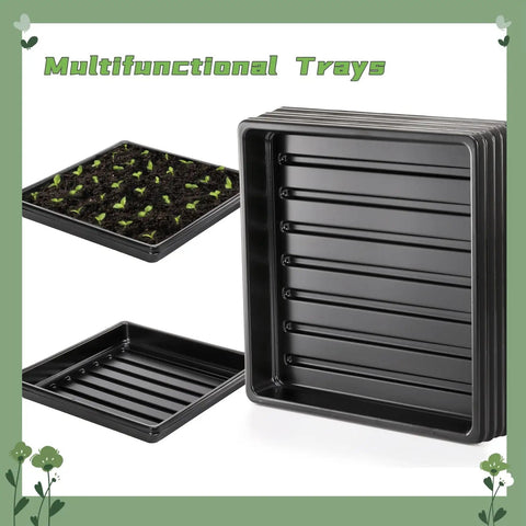 Value Pack 10 Pack Plastic Growing Trays For Seedlings And Microgreens 10.6 By 10.6 Inches Propagation Flats Without Drain Holes