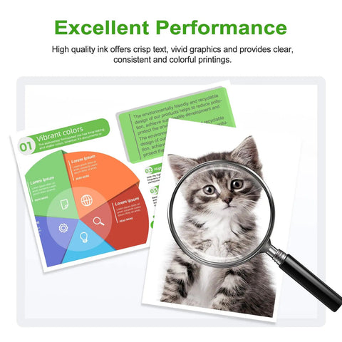 Diagram showing color wheel and brochure, with a magnified image of a kitten, demonstrating print quality.