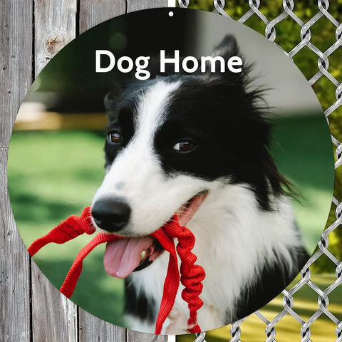 4.2 Inch Round Sublimation Aluminum Sheets 0.01 Inch Thick Blank Metal Panels for Pictures and Signs featuring dog design