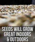 Close-up of Mother Fodder Blend 12Lb EcoPack All In One Grain Seed Mix For Bird Food displayed with text about indoor and outdoor growth.