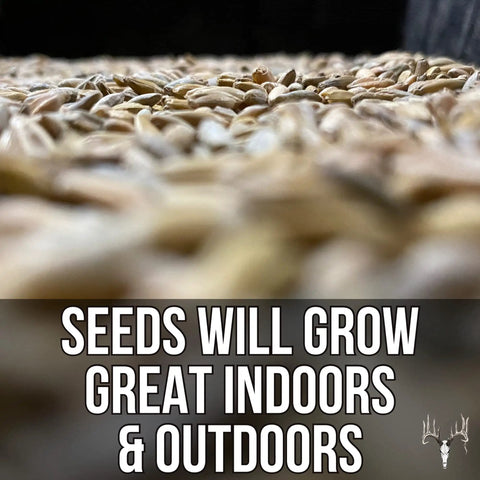 Close-up of Mother Fodder Blend 12Lb EcoPack All In One Grain Seed Mix For Bird Food displayed with text about indoor and outdoor growth.