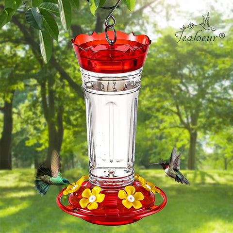 Outdoor Hummingbird Feeder 18 Oz With 6 Bee Guard Ports, Built-In Ant Moat, 360 Degree View hanging in garden with birds