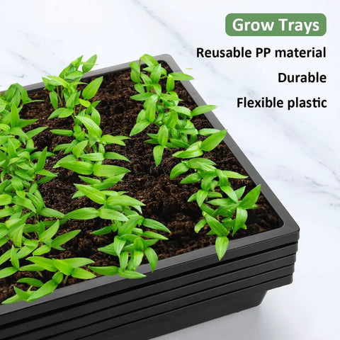 1020 Flat Seed Starter Trays 10 Pack BPA Free Plastic Nursery Pots for Seedlings No Drainage Holes with Green Plants